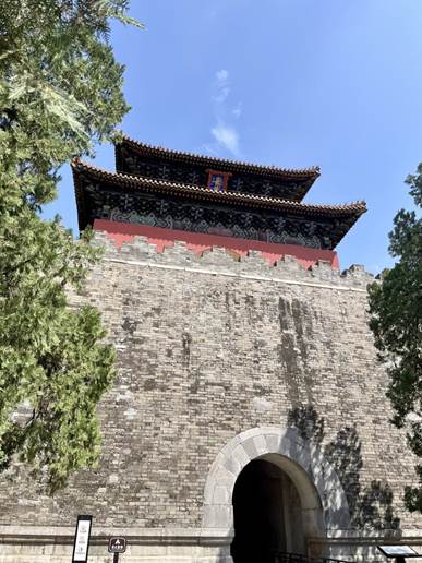 c642d849a750881bdf518d2072f2040